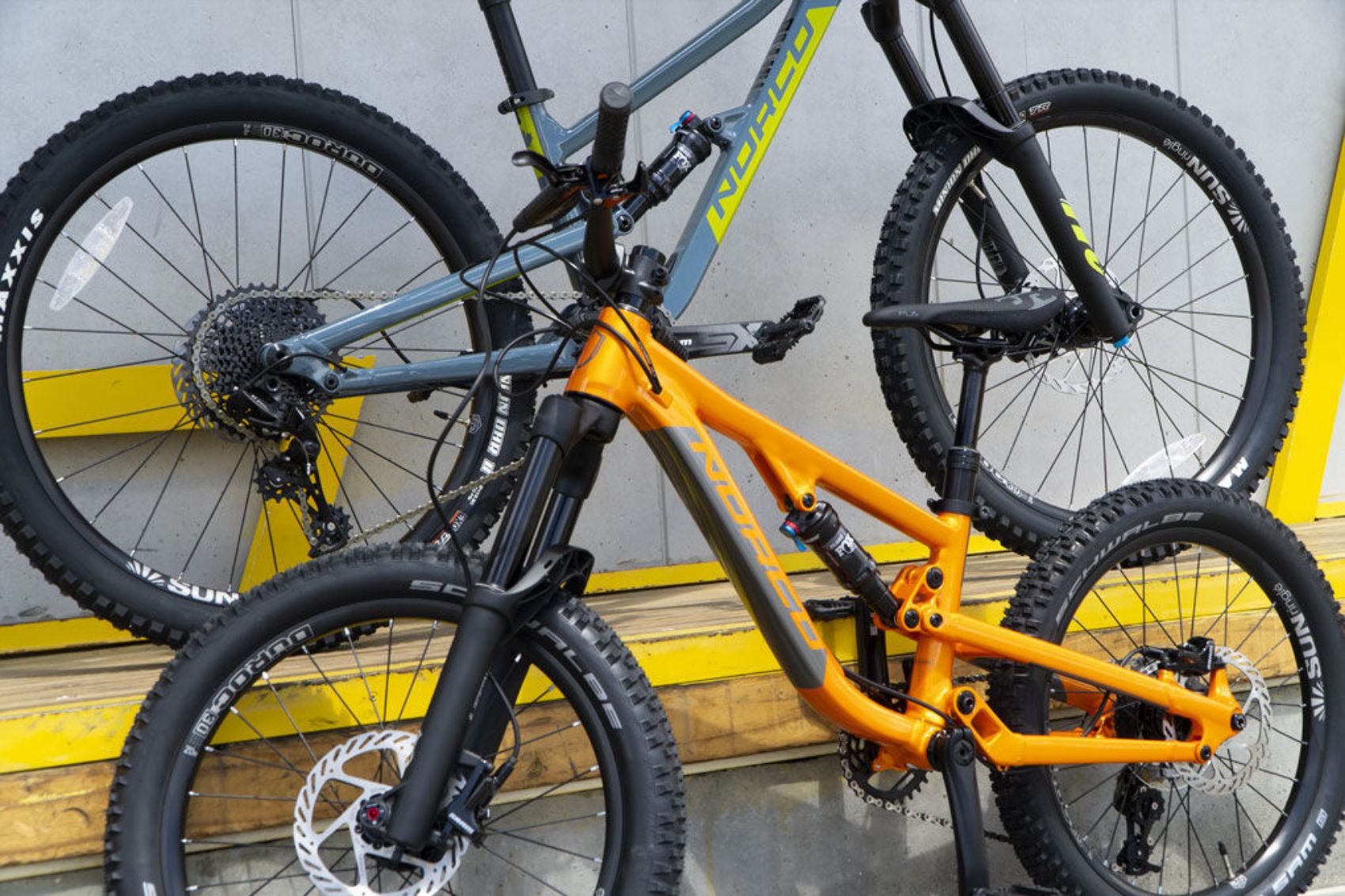 Picture of MTB Rentals